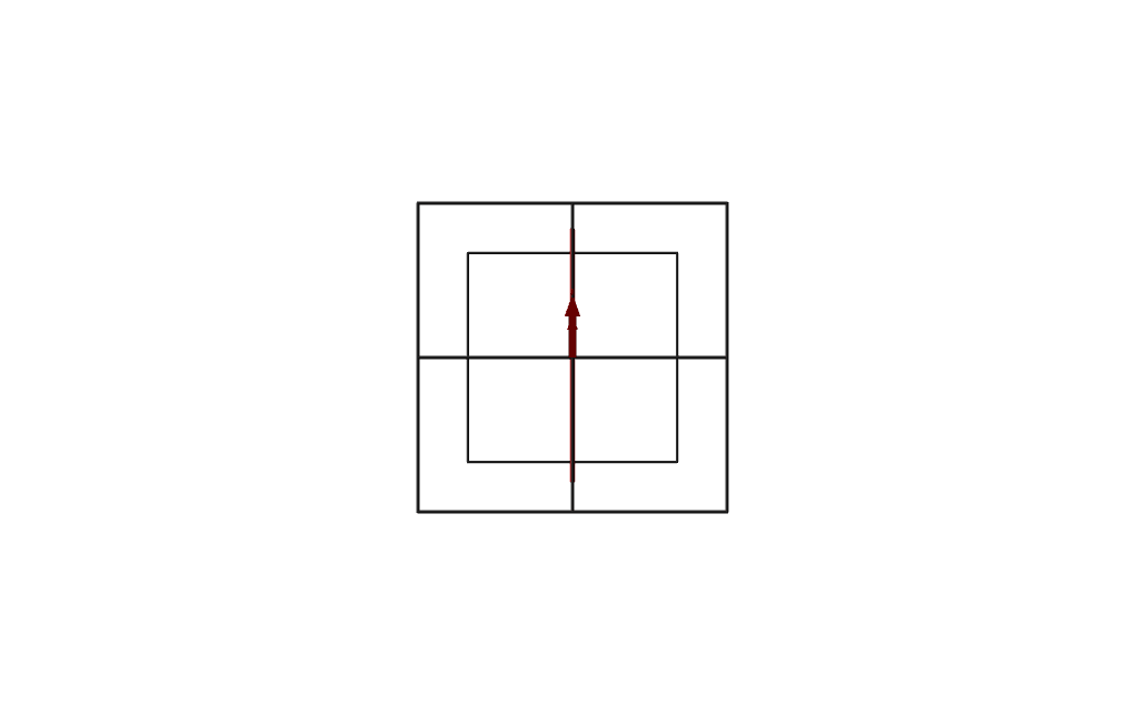 Polarisation Ex