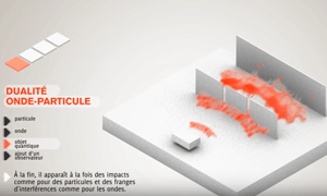 Dualité