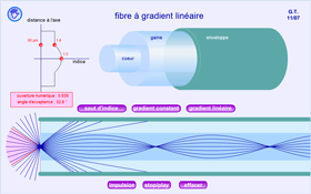 Fibre optique