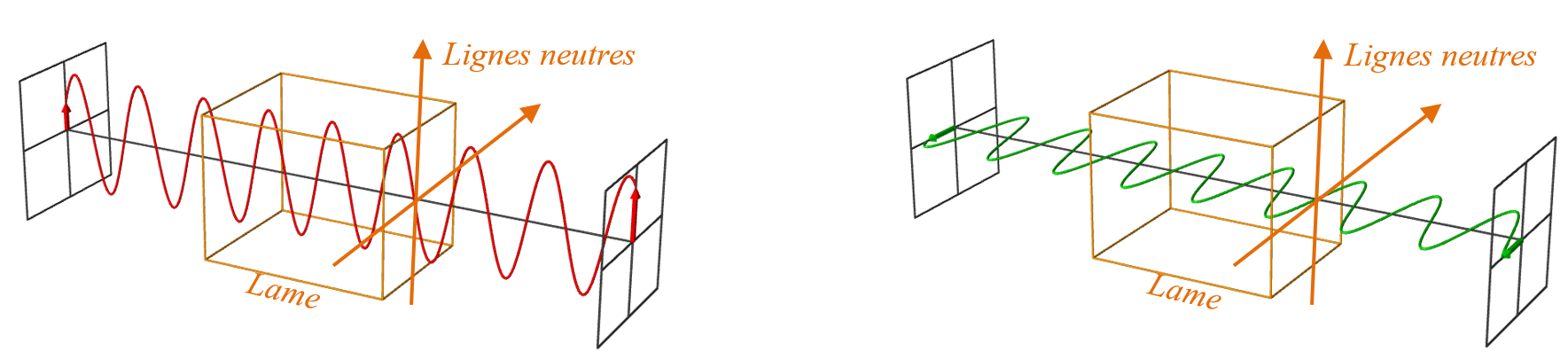 Structure OPPH