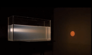 Vidéo diffusion